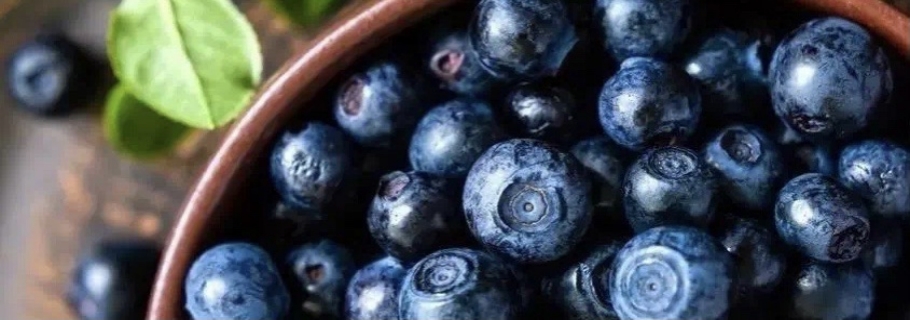 想要從0開(kāi)始學(xué)種藍(lán)莓？這份“大神指南”送給你~