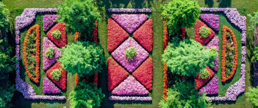 從南邊美到北邊的桑蓓斯，眾望所歸，驚艷世界！