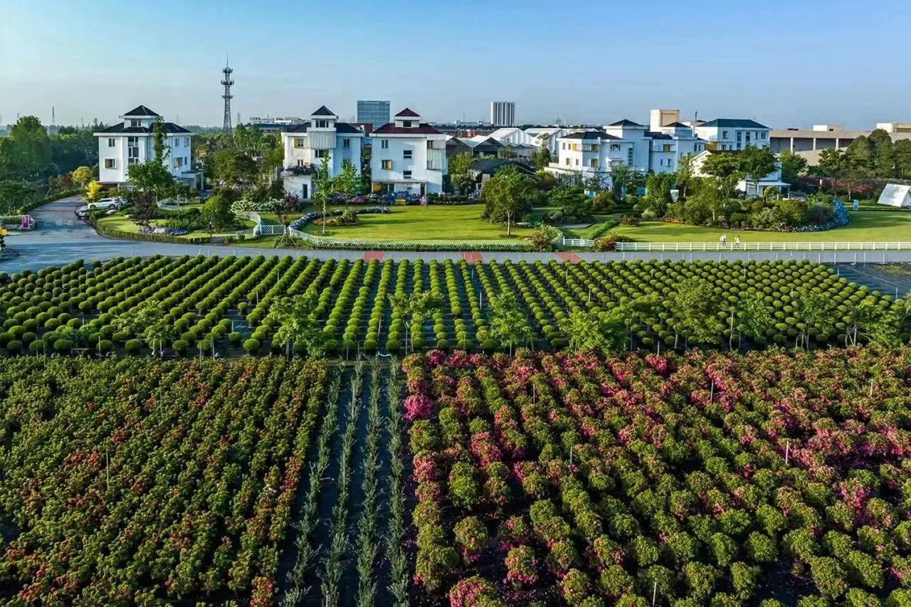 過年不打烊！虹越線上零售渠道營業(yè)安排通知！