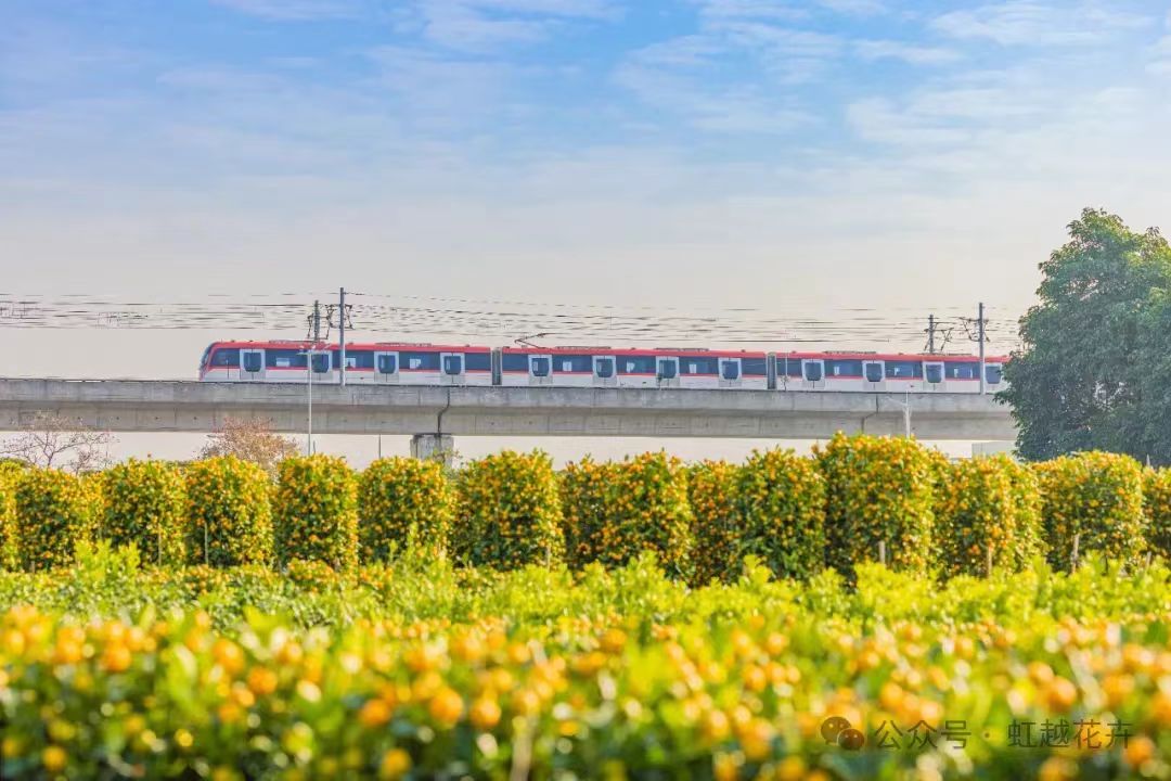 3月又有新花展！還有園藝大咖齊聚，解鎖美麗生活新方式