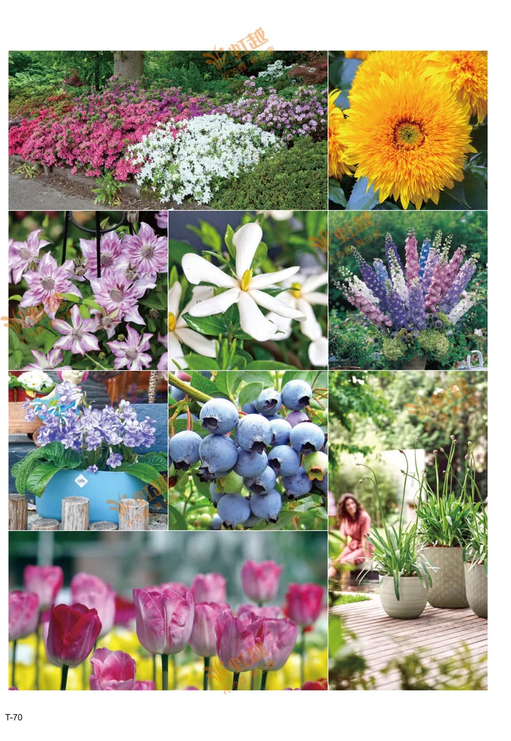 1610011532272545.jpeg WechatIMG606.jpeg