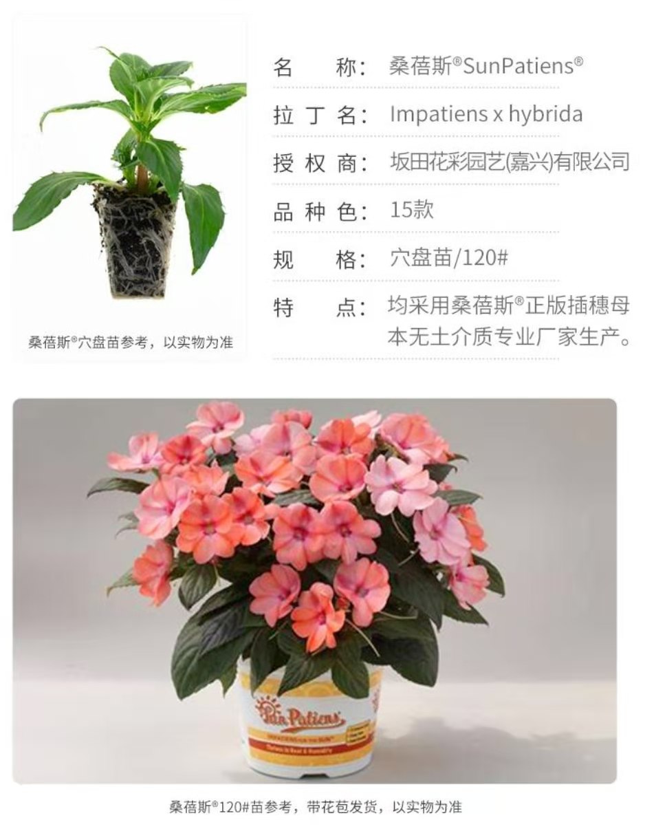 1610069947840253.jpg 微信圖片_20201128133955.jpg